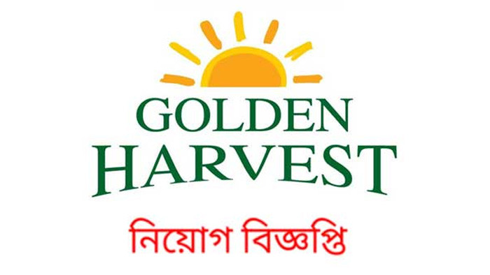 অভিজ্ঞতা ছাড়াই ২০০ জনকে চাকরি দেবে গোল্ডেন হারভেস্ট