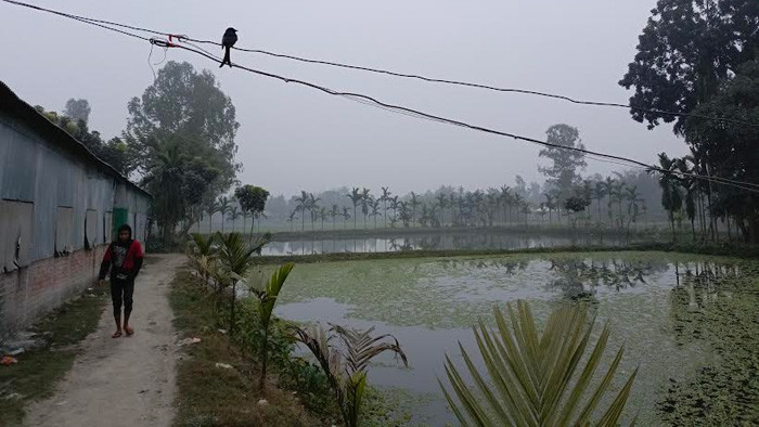 উত্তরের সিমান্ত জেলায় আজও সূর্যের দেখা নেই, তবে কুয়াশা কিছুটা কম