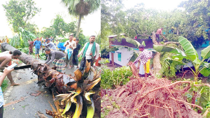 নওগাঁয় হঠাৎ ঝড়-বৃষ্টিতে লণ্ডভণ্ড বেশ কয়েকটি এলাকা