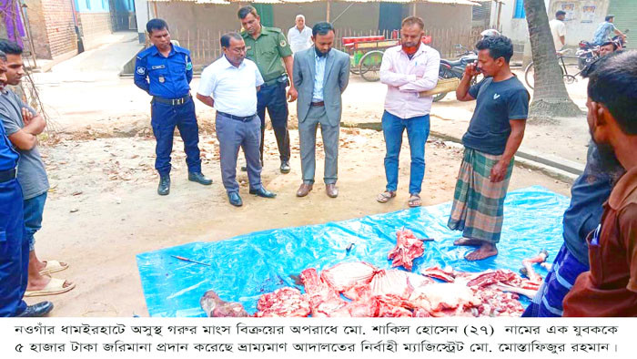 ধামইরহাটে অসুস্থ গরু জবাই করে মাংস বিক্রির চেষ্টায় অর্থদণ্ড