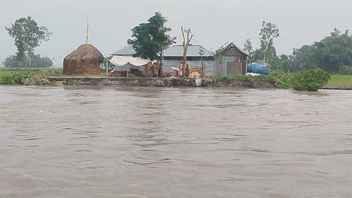 পাহাড়ি ঢলে তিস্তার আগ্রাসী রূপ, পানিবন্দি মানুষের নির্ঘুম রাত