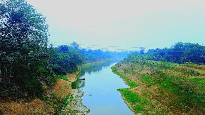 তুলসীগঙ্গা নদী চিনিকলের বর্জ্যে দূষিত, পরিচালক বললেন, 'আমরা দূষিত পানি ছাড়িনি'