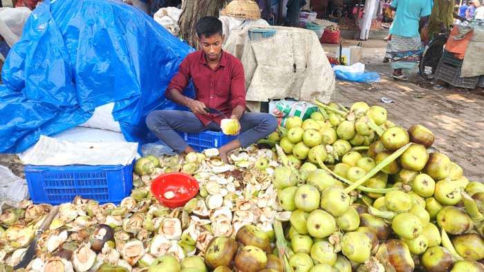 তালশাঁস বিক্রি করে লাভের মুখ দেখছেন রিয়াদ