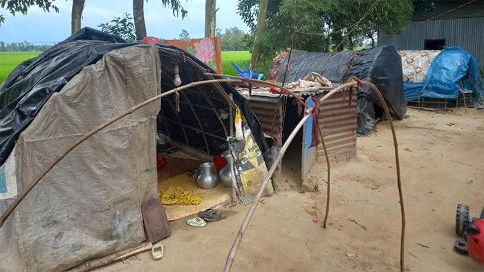 শেরপুরে বেদে পল্লীতে সন্ত্রাসের অভয়ারণ্যে পরিণত