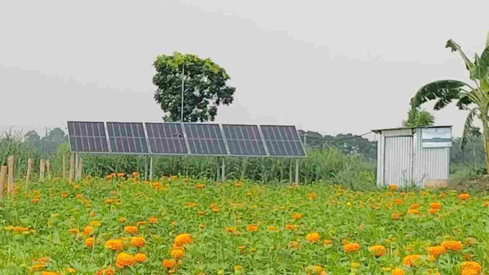 ডিজেলের খরচ নেই, সোলার পাম্পে বাড়ছে ঝিনাইদহের কৃষকের আয় ডিজেলের খরচ নেই, সোলার পাম্পে বাড়ছে ঝিনাইদহের কৃষকের আয়