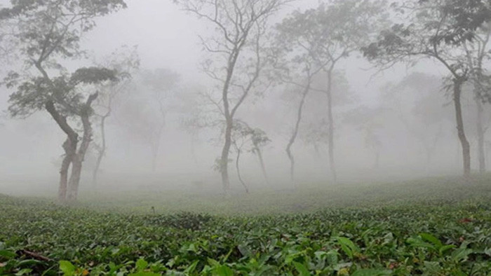 শ্রীমঙ্গলে তাপমাত্রা ১০ ডিগ্রির নিচে!
