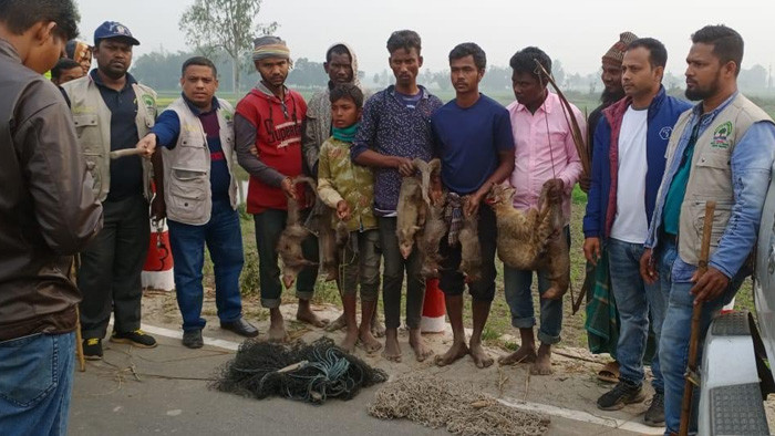বিরল ১০টি বন্যপ্রাণীকে হত্যার দায়ে ৫ শিকারিকে জরিমানা