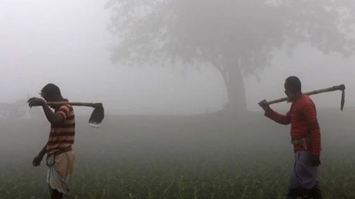 ১৩ জেলায় শৈত্যপ্রবাহ