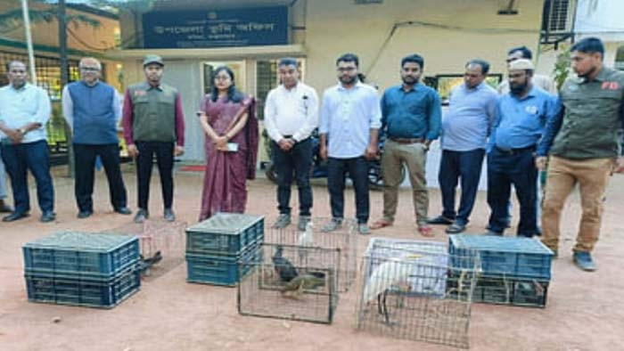উখিয়ায় অতিথি পাখি শিকার রোধে বন বিভাগের অভিযান