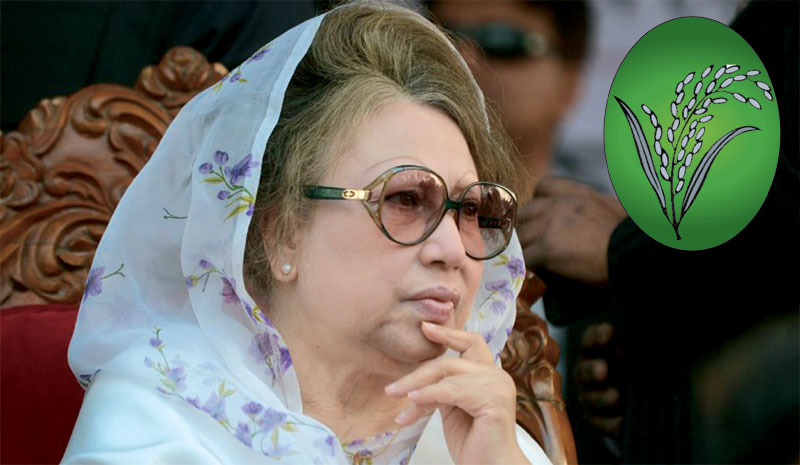 দীর্ঘ সাড়ে ৭ বছর পর দলীয় প্রতীক ধানের শীষ নিয়ে ভোট যুদ্ধ